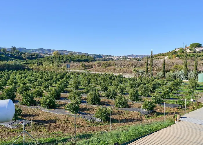 Cortijo Palomo Lantställe Málaga